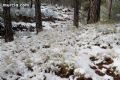 Nieve en Sierra Espuña - 72 Nieve en Sierra Espuña - 72