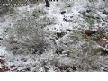 Nieve en Sierra Espuña  - 74