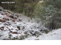 Nieve en Sierra Espuña  - 76