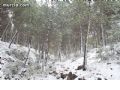 Nieve en Sierra Espuña  - 81