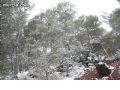 Nieve en Sierra Espuña - 82 Nieve en Sierra Espuña - 82