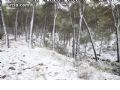 Nieve en Sierra Espuña  - 85
