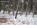 Nieve en Sierra Espuña  - 86