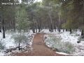 Nieve en Sierra Espuña  - 88