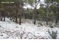 Nieve en Sierra Espuña  - 97
