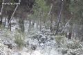 Nieve en Sierra Espuña  - 100