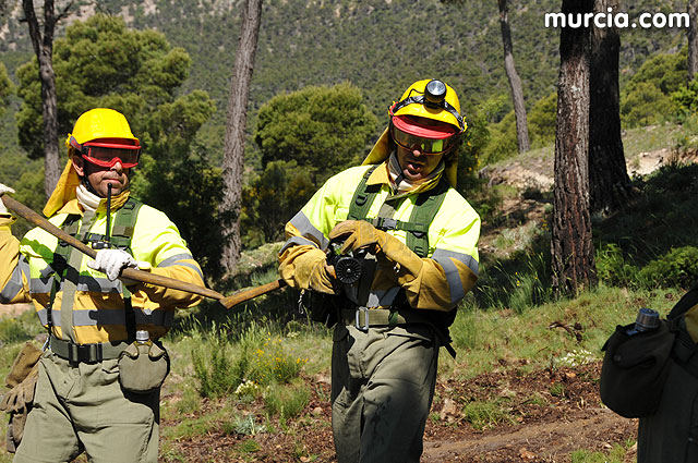 Doscientos efectivos en Sierra Espuña participaron en un simulacro de incendio - 116