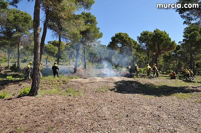 Doscientos efectivos en Sierra Espuña participaron en un simulacro de incendio - 132