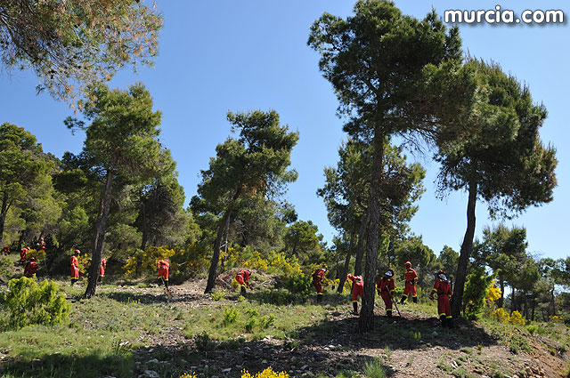 Doscientos efectivos en Sierra Espuña participaron en un simulacro de incendio - 144