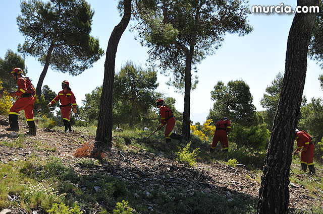 Doscientos efectivos en Sierra Espuña participaron en un simulacro de incendio - 147