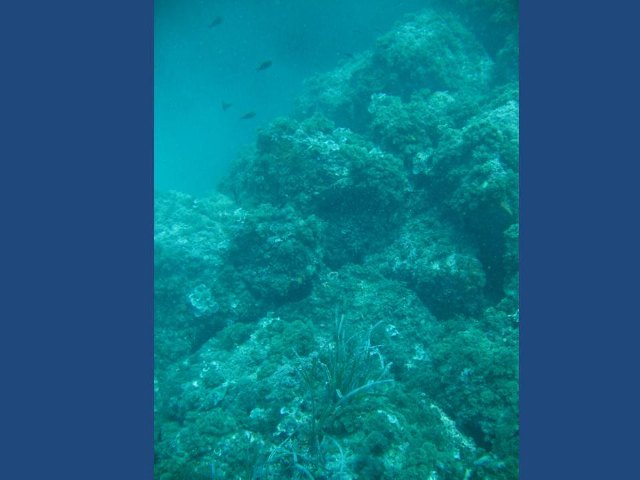 Yacimiento subacutico Bajo de la Campana - 98