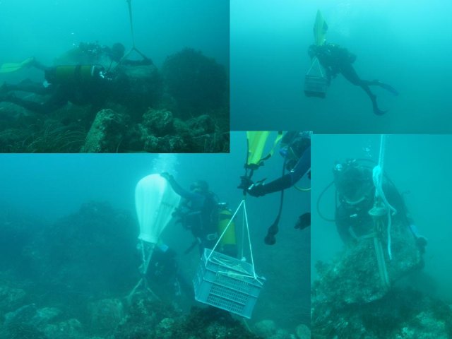 Yacimiento subacutico Bajo de la Campana - 103
