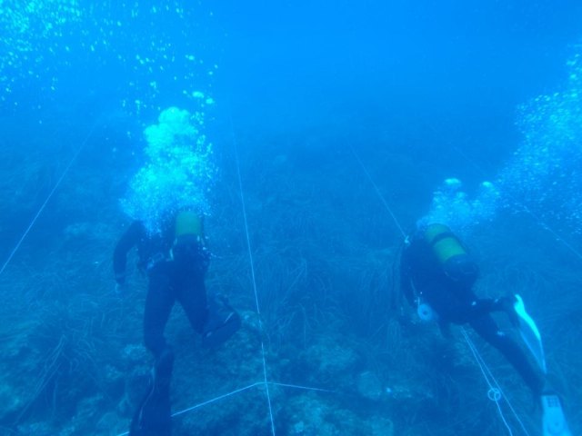 Yacimiento subacutico Bajo de la Campana - 106