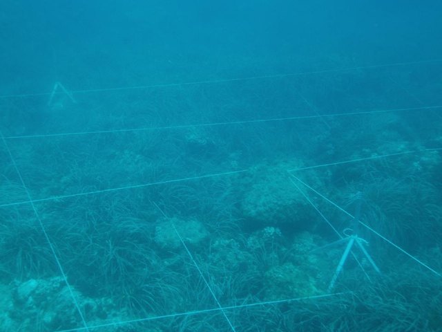 Yacimiento subacutico Bajo de la Campana - 107