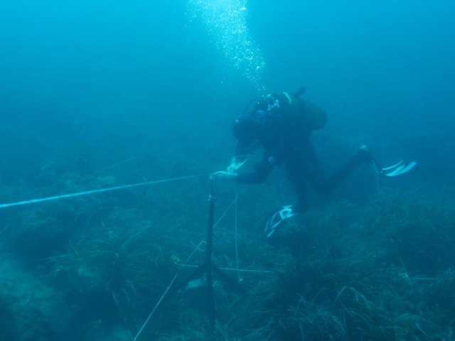 Yacimiento subacutico Bajo de la Campana - 108