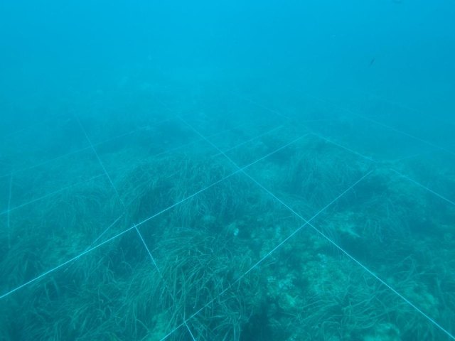 Yacimiento subacutico Bajo de la Campana - 109
