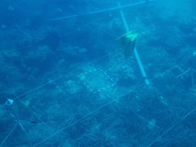 Yacimiento subacutico Bajo de la Campana - 110