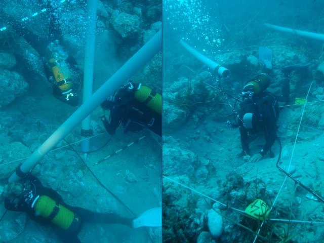 Yacimiento subacutico Bajo de la Campana - 115