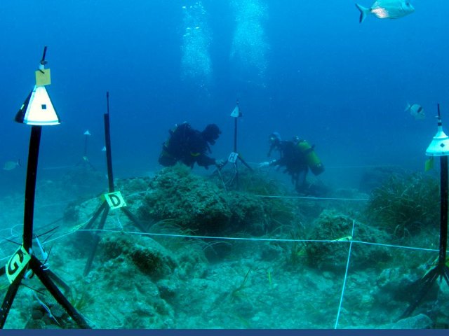 Yacimiento subacutico Bajo de la Campana - 123