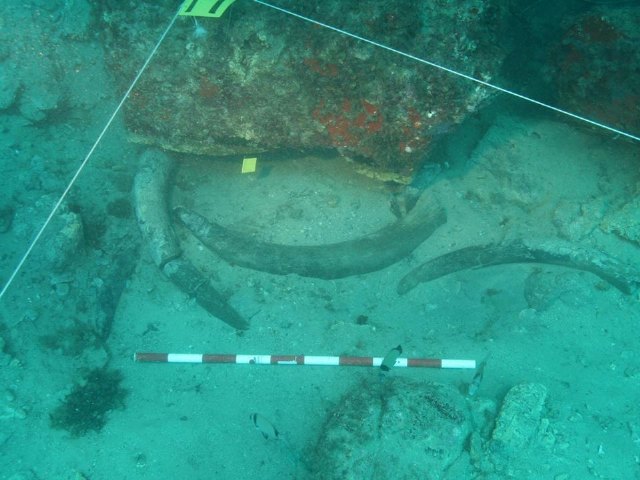Yacimiento subacutico Bajo de la Campana - 131