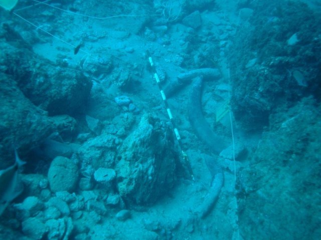 Yacimiento subacutico Bajo de la Campana - 132