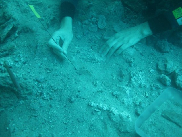 Yacimiento subacutico Bajo de la Campana - 146