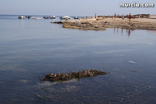 II Limpieza de playas, rocas y fondos marinos en La Manga - 15