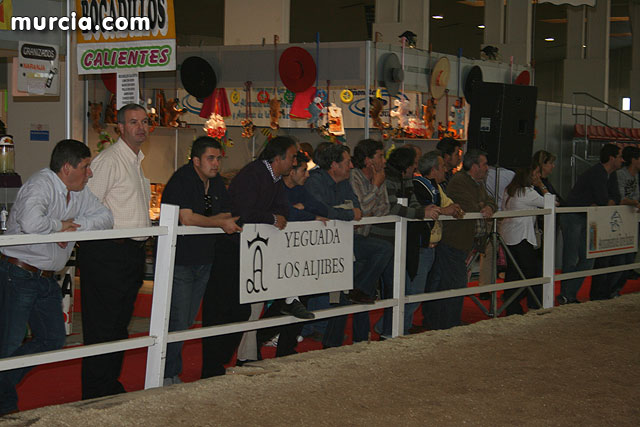 Equimur 2009. Caballos de Pura Raza Española  - 51