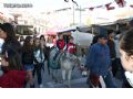 Mercadillo Medieval - 121 Mercadillo Medieval - 121
