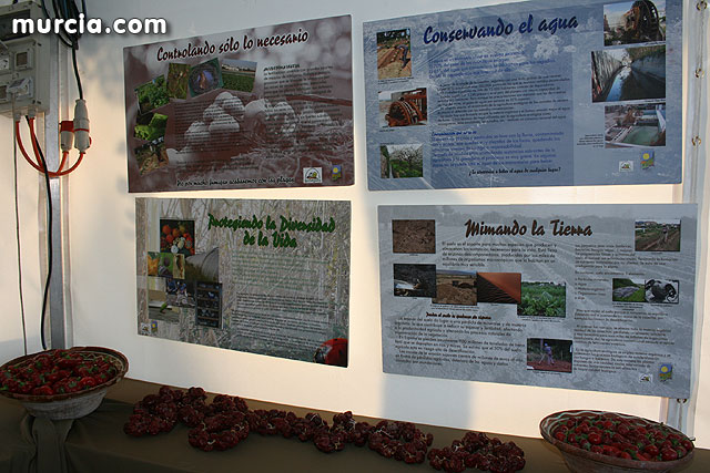 I Feria del Campo. Agricultura y Ganadera - Totana 2009 - 130