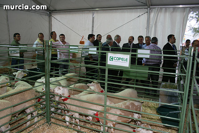 I Feria del Campo. Agricultura y Ganadera - Totana 2009 - 221