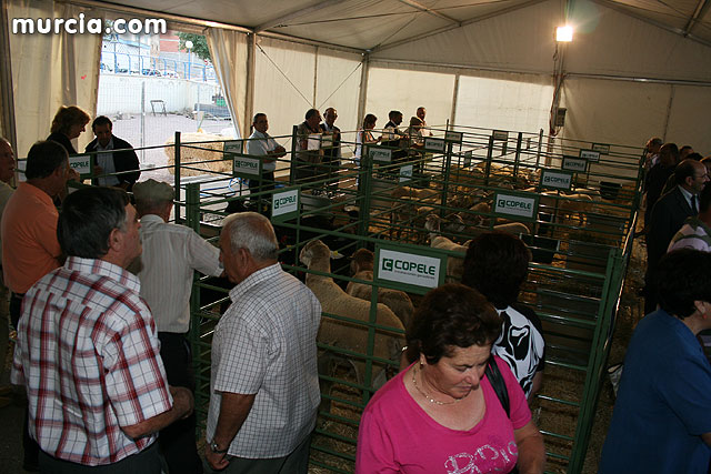 I Feria del Campo. Agricultura y Ganadera - Totana 2009 - 240