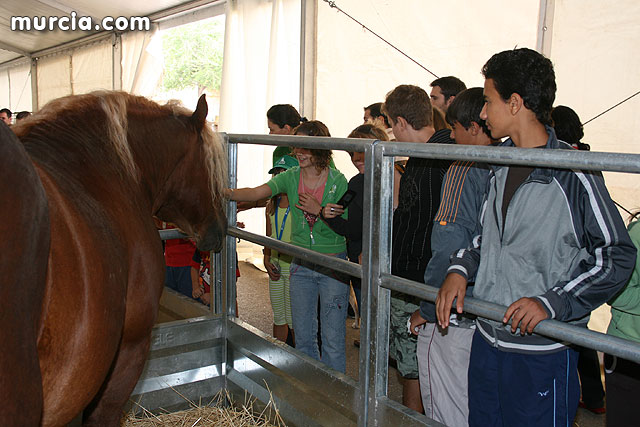 I Feria del Campo. Agricultura y Ganadera - Totana 2009 - 408