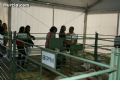 I Feria del Campo - 219 I Feria del Campo - 219