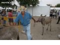 I Feria del Campo - 306 I Feria del Campo - 306