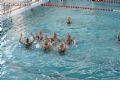 Natación sincronizada - 95 Natación sincronizada - 95