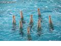 Natación sincronizada - 111 Natación sincronizada - 111