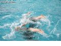 Natación sincronizada - 135 Natación sincronizada - 135