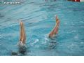 Natación sincronizada - 158 Natación sincronizada - 158