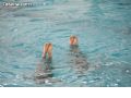 Natación sincronizada - 159 Natación sincronizada - 159