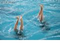Natación sincronizada - 161 Natación sincronizada - 161