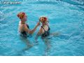 Natación sincronizada - 164 Natación sincronizada - 164