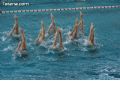 Natación sincronizada - 201 Natación sincronizada - 201