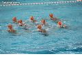 Natación sincronizada - 204 Natación sincronizada - 204