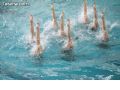 Natación sincronizada - 219 Natación sincronizada - 219