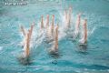 Natación sincronizada - 220 Natación sincronizada - 220