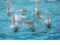 Natación sincronizada - 233 Natación sincronizada - 233