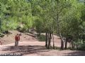 MTB Sierra Espuña - 68 MTB Sierra Espuña - 68