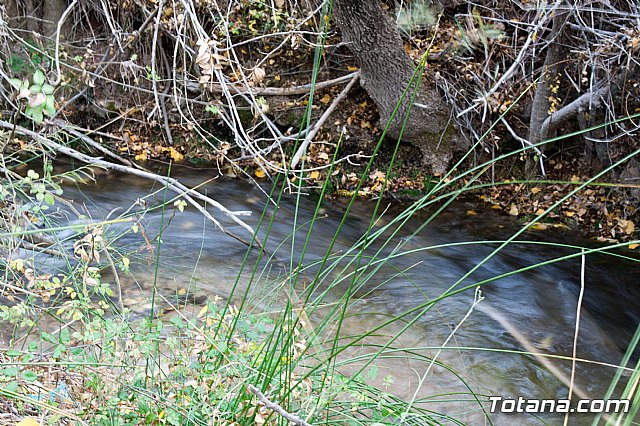 Senderismo en la Sierra del Agua (Albacete)  - 239