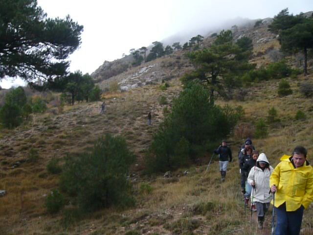 Senderismo en la Sierra del Agua (Albacete)  - 332
